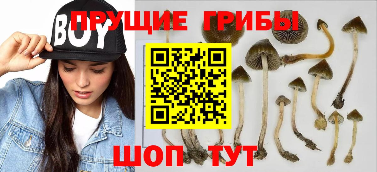 где продают наркотики  Галлюциногенные грибы мицелий  Вход с VPN  Усть-Лабинск 