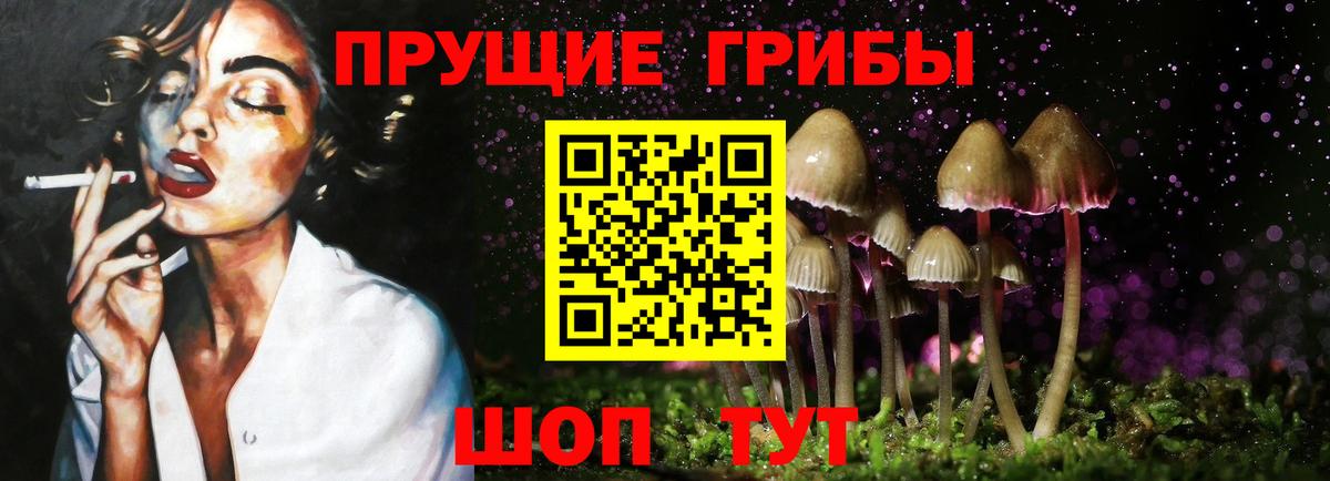 Галлюциногенные грибы Psilocybine cubensis Усть-Лабинск